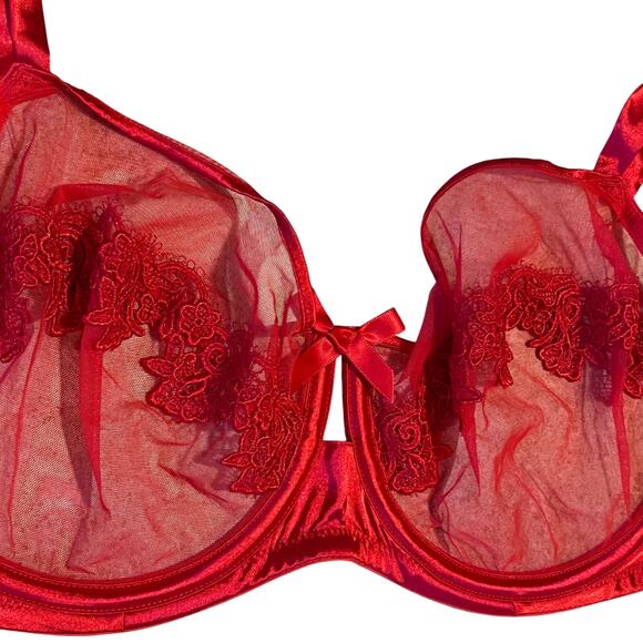 Red Cacique Mesh and Lace Underwire Bra Size 42D - Picture 3 of 4